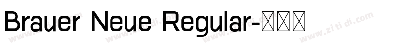 Brauer Neue Regular字体转换